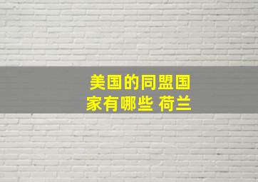 美国的同盟国家有哪些 荷兰